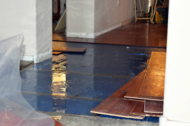 Professional Basement Flood Cleanup technician working in Harris, MN